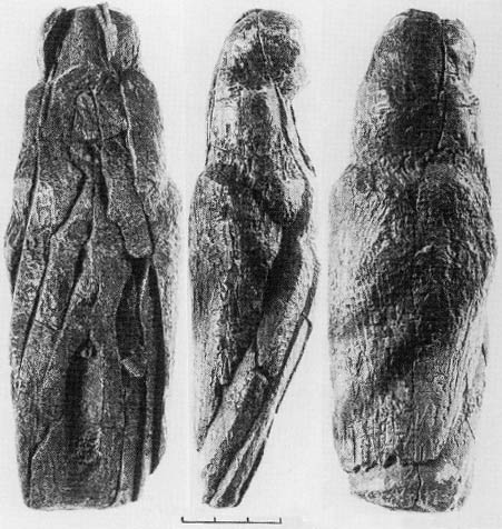 Avdeevo Venuses